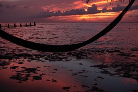 Cozumel 2021-29