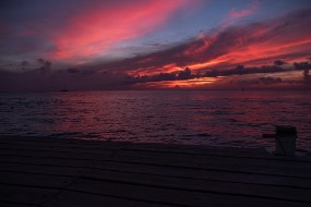 Cozumel 2021-31