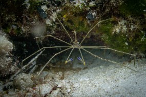 Cozumel 2021-38