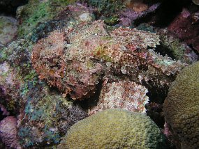 curacao044