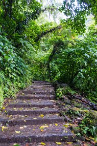 Dominica 2017-251