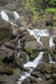 Dominica 2017-284-2