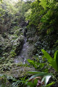 Dominica 2017-461