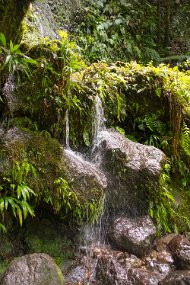 Dominica 2017-462