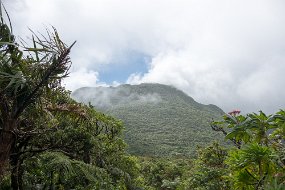 Dominica 2017-492