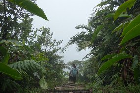 Dominica 2017-494