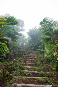 Dominica 2017-496