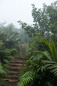 Dominica 2017-497