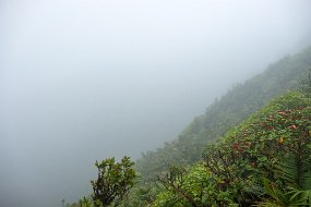 Dominica 2017-504