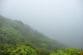 Dominica 2017-505
