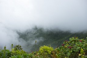 Dominica 2017-514