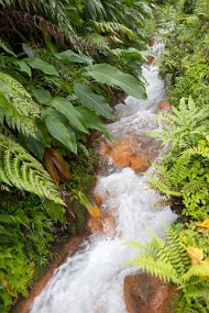 Dominica 2017-517