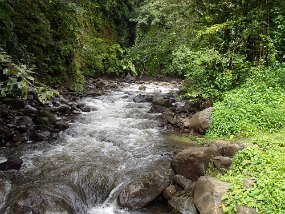 Dominica 2017-559