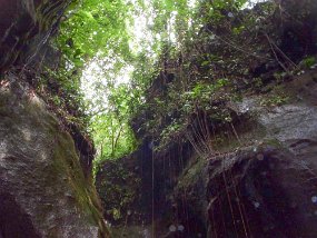 Dominica 2017-565