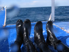 IMG_1266