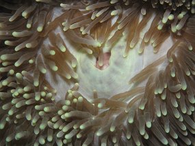 IMG_1736