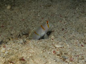 IMG_1760