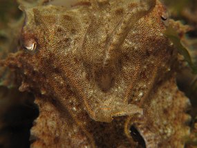 IMG_1851