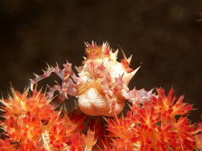 IMG_1956