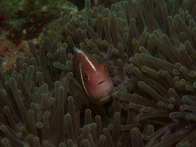 IMG_2030
