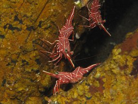 IMG_2070