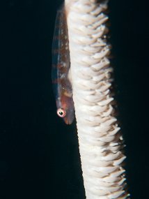 IMG_2122
