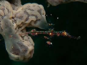 IMG_2260