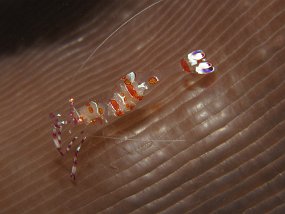 IMG_2264
