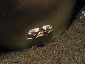 IMG_2267