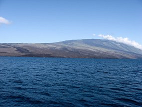 Galapagos-10