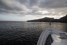 Galapagos-1074