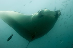 Galapagos-180
