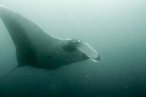 Galapagos-186