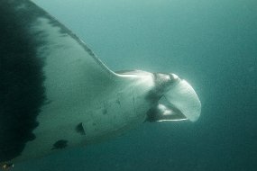 Galapagos-200