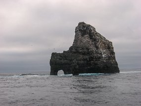 Galapagos-21