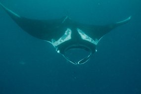 Galapagos-218