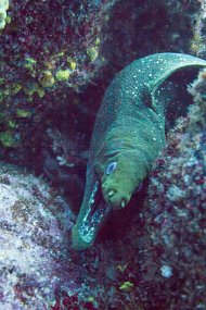 Galapagos-292