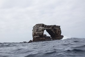 Galapagos-492
