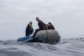 Galapagos-508