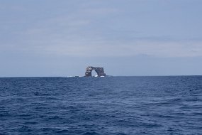 Galapagos-520