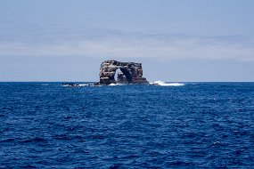 Galapagos-540