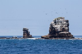 Galapagos-554
