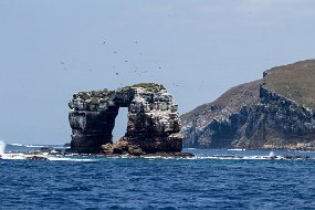 Galapagos-566