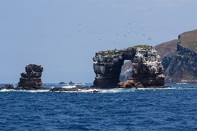 Galapagos-572