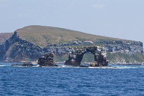 Galapagos-594