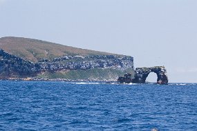Galapagos-608