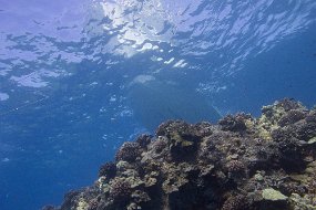 IMG_4125