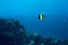 IMG_4127