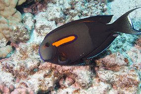 IMG_4137