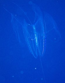 IMG_4187